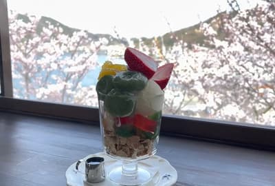 【廣島】尾道在春天散步！ 享受櫻花景點和壯觀美食的一日游