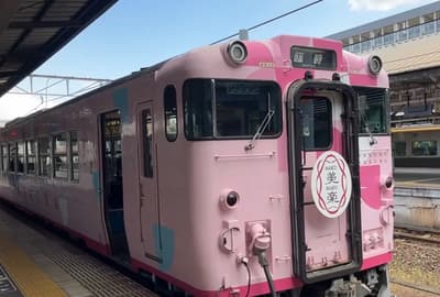 【岡山縣】 與SAKU Beauty SAKU Raku一起享受津山的櫻花和城堡！ 一次旅行，您還可以享受與熱情的人見面的樂趣