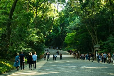 東京的10個最佳自然景點