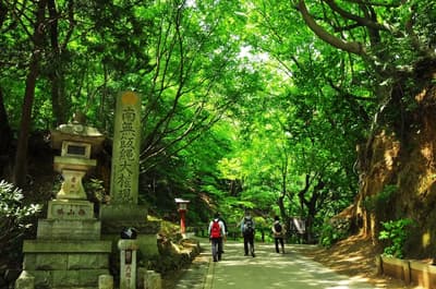 高尾山旅遊指南：四季皆宜，即使是初學者也能享受登山樂趣的山！