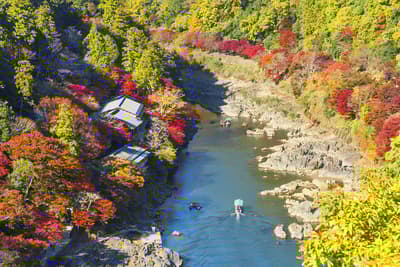 京都岚山嵯峨野地区15个最佳游览地点