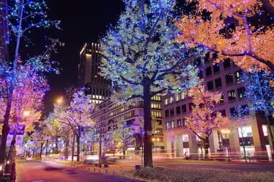 十二月的大阪旅遊攻略