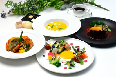 开胃菜唱主角？ UNtreize北新地法式午餐推出超过30种时令蔬菜料理