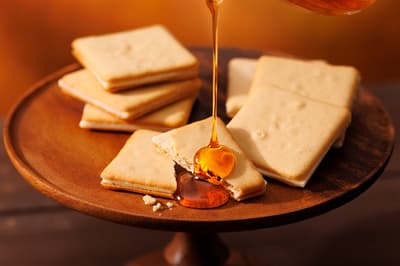 The Maple Mania 黃金週快閃店登場 ecute 品川與 ecute 大宮