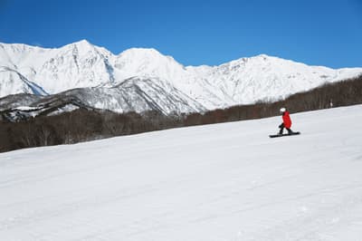 Hakuba Iwatake Mountain Resort Opens 2026-2027 Winter Season Pass Early-Bird Sales on September 1