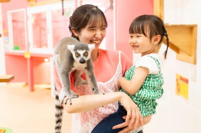 Indoor Petting Zoo AniTouch Kichijoji Opens October 19 Near Kichijoji Station