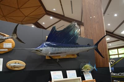 National Alps Azumino Park's Gyogyo-ten Fish Exhibition Showcases Rare Deep-Sea and Dangerous Species Through August 23