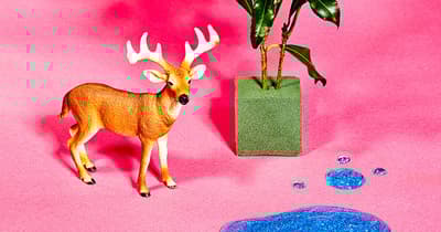 攝影師AKANE舉辦攝影展「Supersupercalifragilisticexpialidodocious」