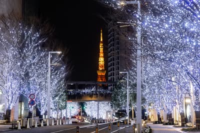 ROPPONGI HILLS CHRISTMAS 2026 Menampilkan Keyakizaka Illumination, Pasar Natal, dan Pohon Natal West Walk di Roppongi