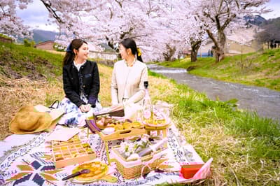 在猪苗代湖丽思酒店感受春天——福岛的樱花、香草园和当地风味