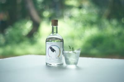 La marca de ginebra artesanal HOLON lanza su primera bebida sin alcohol, HOLON GIN ORIGINAL 0.00%
