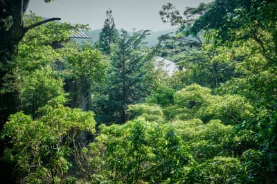 Hakone Retreat före & villa 1/f 攜手瑜珈與阿育吠陀導師 AZUSA，推出秋季身心靈療癒靜修之旅