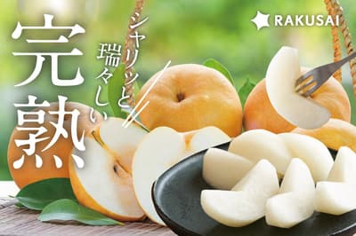 La pera Nansui de Shinshu Matsumoto de Nagano, que se agotó en solo 10 días el año pasado, regresa para reserva