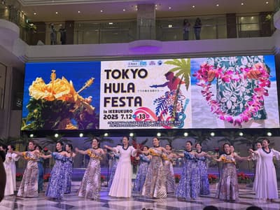 2026年第24届东京池袋草裙舞节 —— 6月，166支团队为城市带来夏威夷风情