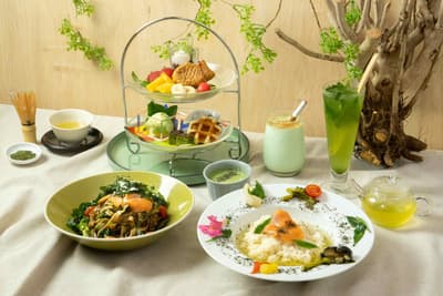 Sayama Tea Fair at Ofuro Cafe Utatane Offers Seasonal Baths, Sauna Events, and Cafe Menus