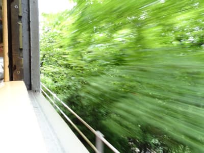 하코네 등산철도, 100형 차량 은퇴 기념 '자연 냉방 체험 열차' 운행 및 모형 컬렉션 발매