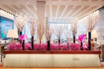 名古屋觀光飯店「Sakura Fair 2026」將飯店染上春色