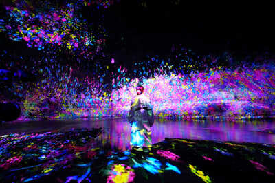 teamLab: 요로 계곡 — 요로 계곡 지역 숙박 시설 이용객 대상 초대권 안내