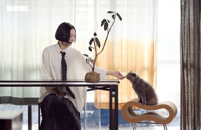 MOCK 於貓之日慶祝四週年，推出貓咪專用奢華領結系列