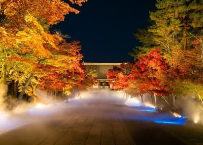 RIHGA Royal Hotel Kyoto Meluncurkan Paket Menginap dengan Tiket Masuk Iluminasi Musim Gugur dan Lautan Awan Kuil Ninnaji