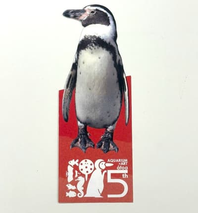 고베 AQUARIUM×ART átoa, 5주년 기념 티켓 2탄 출시 - 훔볼트펭귄 디자인