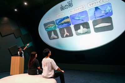 Program Ikimono Talk Live Khusus Hari Kerja Terbaru di Kobe Suma Sea World Dimulai 16 September 2026