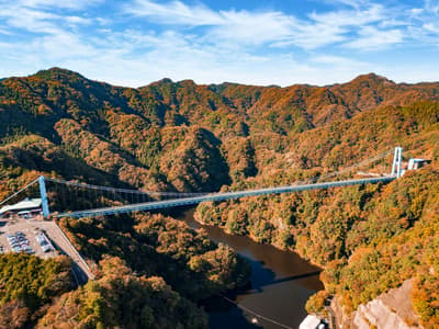 37th Ryujin Gorge Autumn Leaves Festival Held at Ryujin Suspension Bridge in Hitachiota, Ibaraki