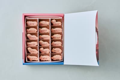 たべっ子どうぶつ× CHOCOLATE BANKがJR名古屋高島屋で2026年1月16日からスペシャルなSAFARIコラボスイーツを発売