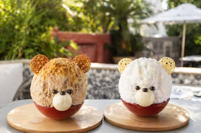 Terrace Dining TANGO Launches Summer Shaved Ice with New Kuma no Kakigori Varieties from May 18, 2026