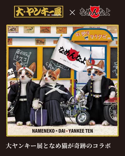 大宫丸井举办“大不良展”，与《阿尔卑斯山的少女海蒂》和“Nameneko”合作（2026年2月6日–15日）