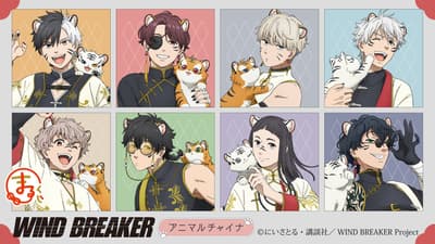 《WIND BREAKER -防风少年-》“动物×中华风”主题周边抽赏在Marukuji上线
