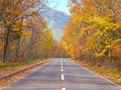 Teshikaga, Hokkaido — How to Savor the Autumn Colors Beyond Just Driving Through