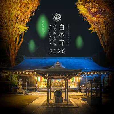 El templo Shiromine-ji, el número 81 de la peregrinación de Shikoku, celebra su segunda iluminación nocturna de otoño en Sakaide