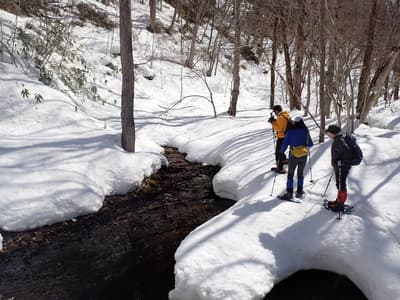Explore "Takino Forest" on Snowshoes — Searching for Spring at Kokuei Takino Suzuran Hillside National Park