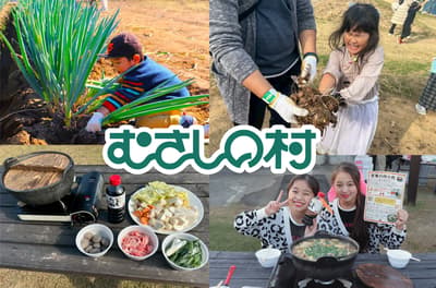 사이타마 무사시노 무라에서 11월 7일·8일, 직접 수확한 가을 채소로 만드는 이모니(토란 국) 체험