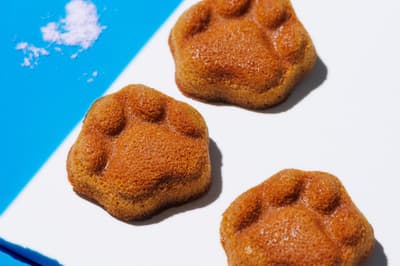 코쿠네코(KOKUNEKO), 5월 1일부터 한정판 '코쿠우마 솔티 피난셰' 출시