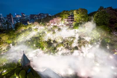호텔 친잔소 도쿄, 7월 1일부터 진화된 도쿄 운카이 '야쿠모(八雲)' 정원 체험 선보여