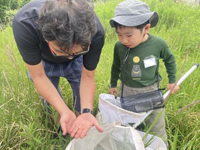 Fabre Insect Class in Futako-tamagawa [Insect Research Edition] – Day Trip Departing July 12