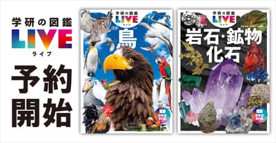 Discover Treasures All Around You! "Gakken Illustrated Reference Book LIVE: Birds (New Edition)" and "Rocks, Minerals, and Fossils (New Edition)" Now Available for Pre-order