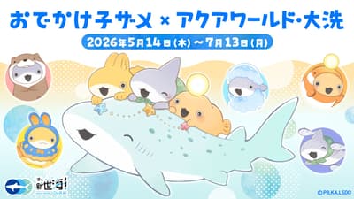 Evento de colaboración de Odekake Kozame en Aqua World Oarai a partir del 14 de mayo