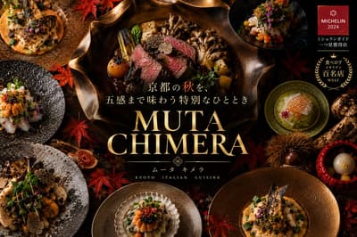 교토 헤이안 신궁 인근 이탈리안 레스토랑 'MUTA CHIMERA', 새로운 보금자리에서의 첫 가을 맞이