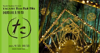 2025年田上竹Boo国际竹子节将于9月开幕