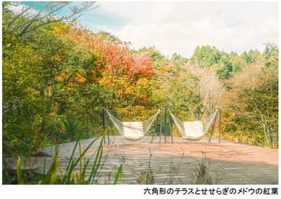 La temporada de otoño del jardín SIKI trae follaje temprano y puntos para fotos de Halloween al Rokko Musical Box Museum & Gardens MORINONE, del 29 de agosto al 30 de noviembre