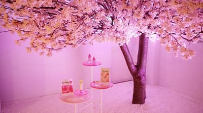 Torriden's "Bloom Café by Torriden" Pop-Up Store in Shibuya Closes After Packed 12-Day Run