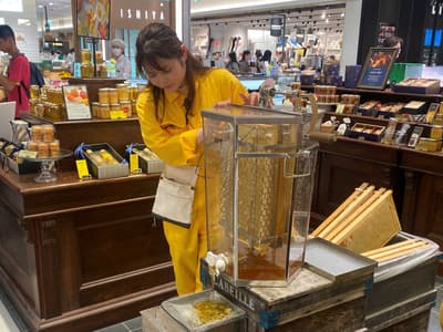 大丸心齋橋店舉辦蜂蜜採集體驗活動與 2026 年心齋橋蜂蜜首發預售