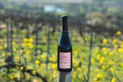 Telmont Meluncurkan Rilis Kedua Champagne 100% Organik RÉSERVE DE LA TERRE ROSÉ