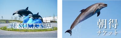 Kobe Suma Sea World Offers Discounted Evening and Morning Tickets for Summer 2026
