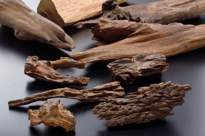 4月18至19日，日本香之日於香源體驗稀有伽羅香