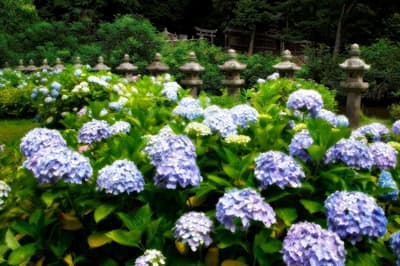 松江雨天之旅 — 由「緣雫」編織而成的四個故事