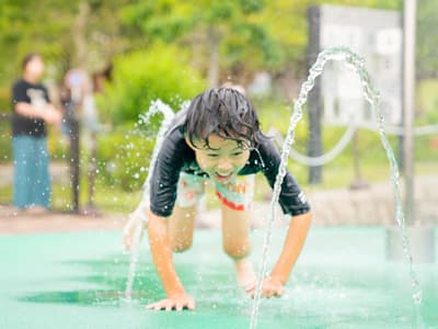 3,500 Rubber Ducks Fill the Splash Plaza - Summer Water Play at Harvest Hill